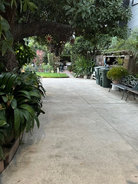 Lush garden patio with mature trees at Roxannes Dog Ranch