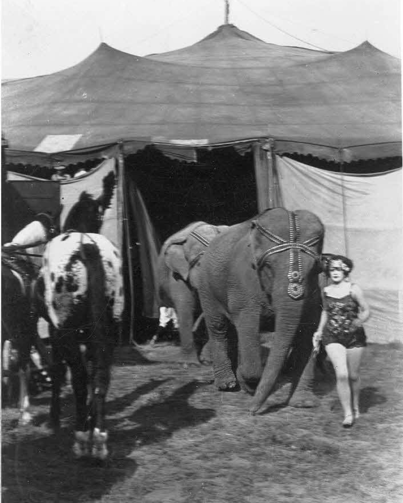 Bernice Emerson leading an elephant on a 1950s jungle film set
