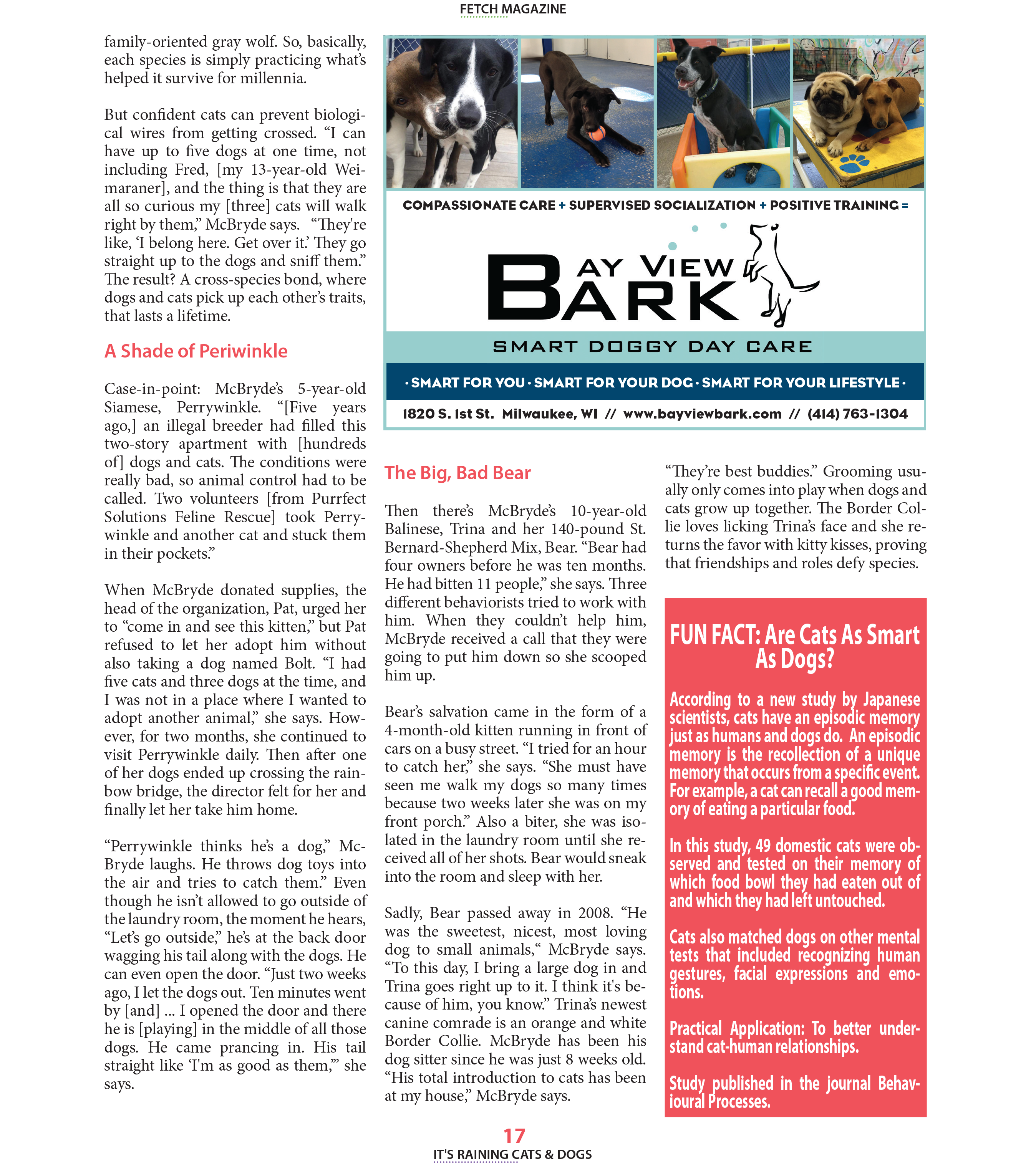 FETCH Magazine Spring 2017 — Cats vs. Dogs: Friends or Foes? featuring Roxanne McBryde, page 2